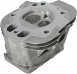 glowica-cylindra-799858-marka-briggsandstratton