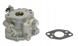 gaznik-809008-briggs-and-stratton