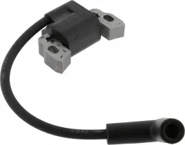 cewka-zaplonowa-briggs-and-stratton-595291