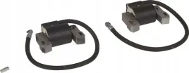 cewka-zaplonowa-briggs-and-stratton-843860wm