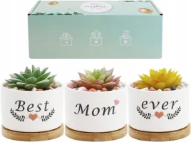 doniczki-ceramiczne-z-podstawkami-bambusowymi-zestaw-3-szt-prezent-dla-mamy