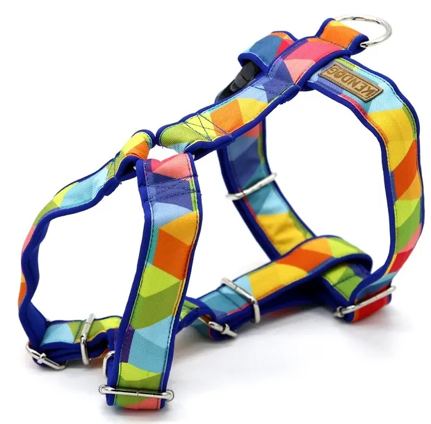 kendog-klocki-szelki-guard-s-2cm