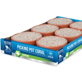 kostki-mineralne-dla-golebi-beyers-picking-pot-coral-5-1
