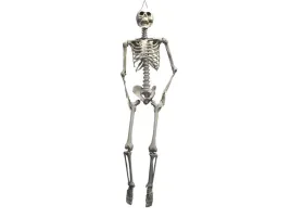 wiszacy-szkielet-175-cm
