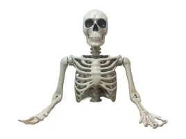 dekoracja-zewnetrzna-szkielet-na-halloween-xxl-104-cm-1-szt