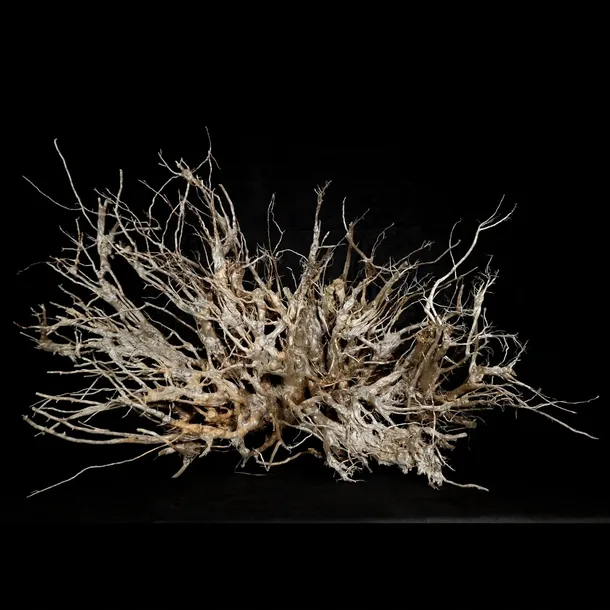 korzen-ancient-root-do-akwarium-e1-130x60x85-glebokosc-130-cm