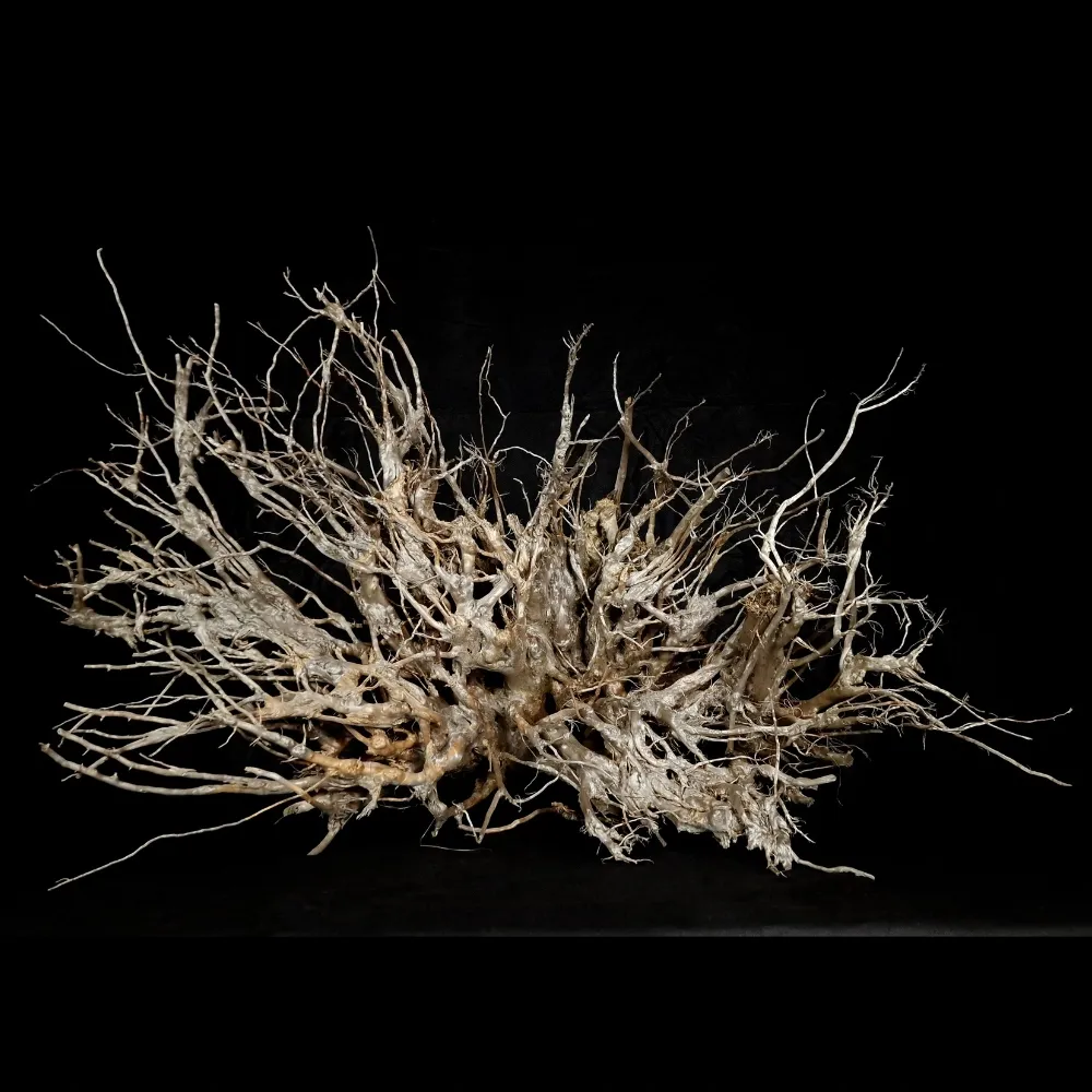 korzen-ancient-root-do-akwarium-e1-130x60x85