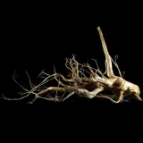 korzen-ancient-root-do-akwarium-b15-70x77x44-cm-szerokosc-77-cm