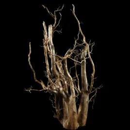 korzen-ancient-root-do-akwarium-b11-53x30x27-cm