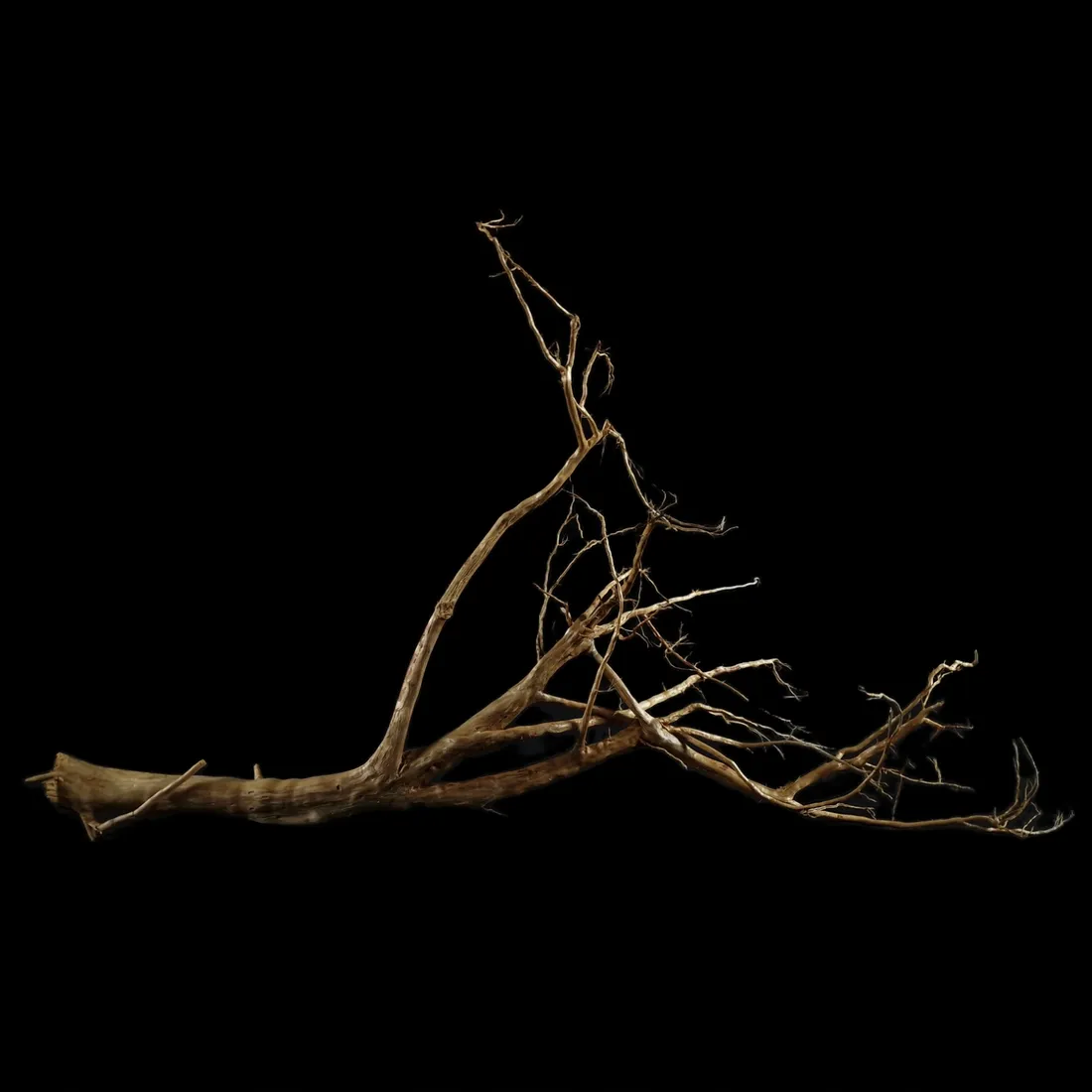 korzen-ancient-root-do-akwarium-b9-95x75x25