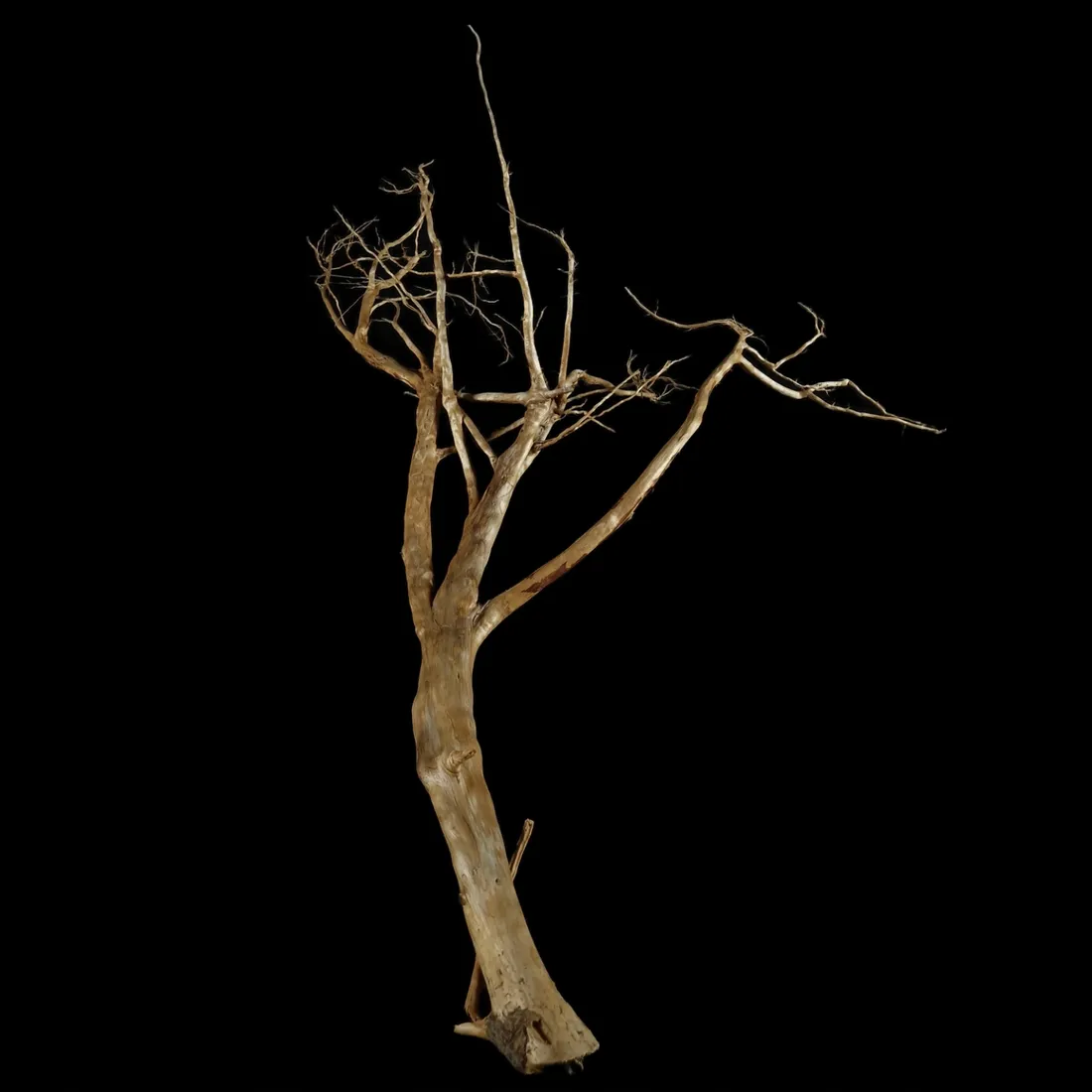 korzen-ancient-root-do-akwarium-b9-95x75x25-szerokosc-75-cm