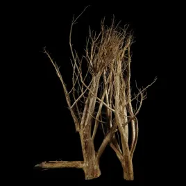 korzen-ancient-root-do-akwarium-b6-130x80x50-cm