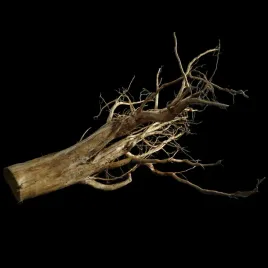 korzen-ancient-root-do-akwarium-b3-90x80x50-cm