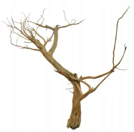 korzen-ancient-root-do-akwarium-56x60x20cm-1094
