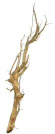 korzen-ancient-root-do-akwarium-120x30x20cm-1091