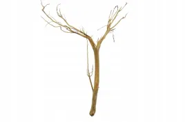 korzen-ancient-root-do-akwarium-70x50x20cm-1084