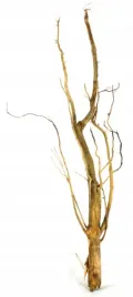 korzen-ancient-root-do-akwarium-90x30x10cm-1030