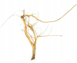 korzen-ancient-root-do-akwarium-90x100x40cm-1027