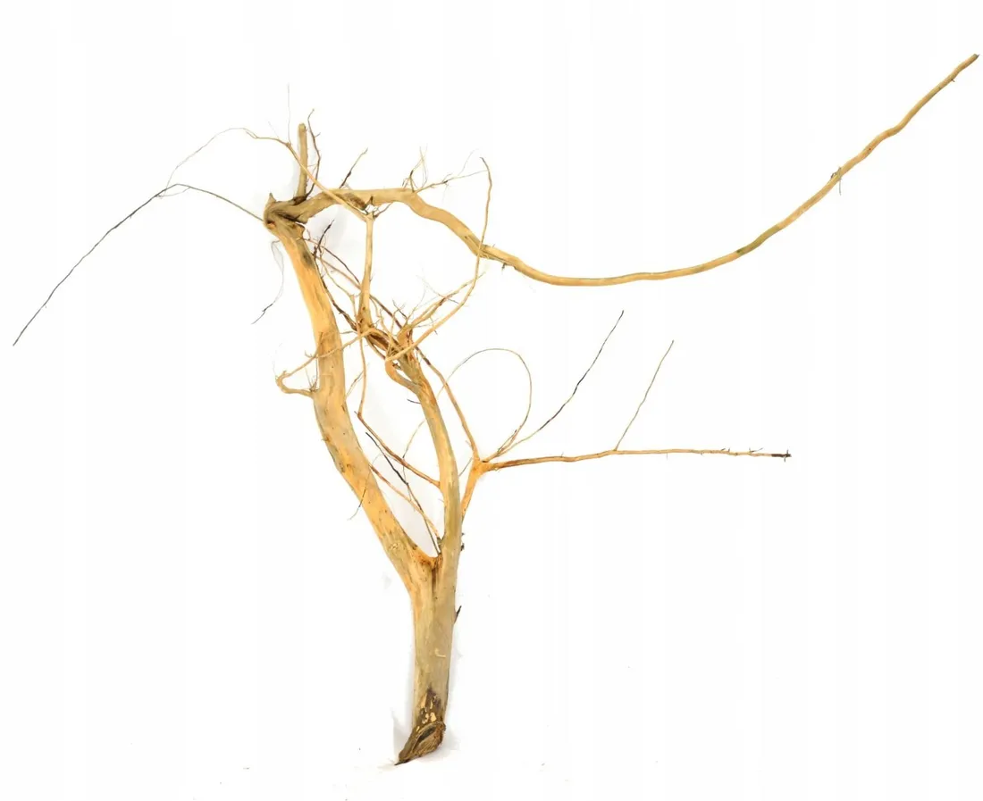korzen-ancient-root-do-akwarium-90x100x40cm-1027