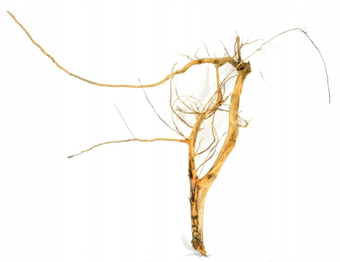korzen-ancient-root-do-akwarium-90x100x40cm-1027-szerokosc-100-cm