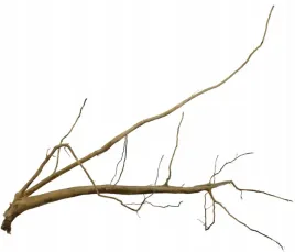 korzen-ancient-root-do-akwarium-100x70x10cm-1102