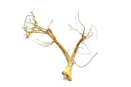 korzen-ancient-root-do-akwarium-90x70x20cm-1078
