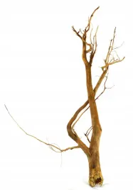 korzen-ancient-root-do-akwarium-90x40x15cm-1024