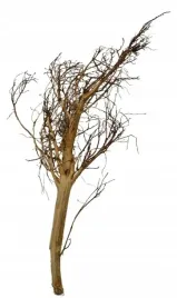 korzen-ancient-root-do-akwarium-80x30x20cm-1189