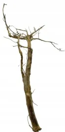 korzen-ancient-root-do-akwarium-90x40x30cm-1175