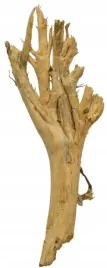 korzen-ancient-root-do-akwarium-55x25x5cm-1167