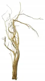 korzen-ancient-root-do-akwarium-85x45x10cm-1160
