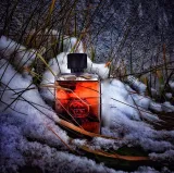 gucci-guilty-absolute-edp-90ml-oryginal-pojemnosc-opakowania-90-ml-stan-nowy