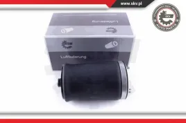 miech-zawieszenia-tyl-prawy-58skv004-skv