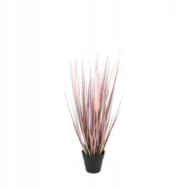 trawa-w-doniczce-55cm