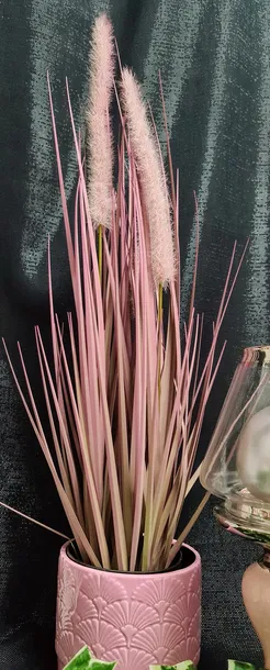 trawa-w-doniczce-55cm-wysokosc-maksymalna-55-cm