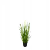 trawa-w-doniczce-54cm