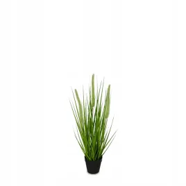 trawa-w-doniczce-54cm