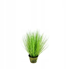 trawa-w-doniczce-50cm