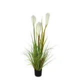 trawa-w-doniczce-miskant-120cm