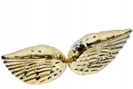 komplet-solniczka-pieprzniczka-skrzydla-zlote