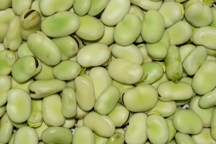bob-prazony-solony-targroch-500g-nazwa-handlowa-bob-prazony-solony