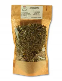 ziola-na-zdrowe-jelita-z-wrotyczem-90g