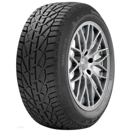 4x-riken-snow-225-55r16-95h