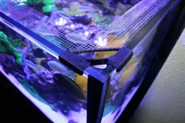 banana-aquarium-fishguard-siatka