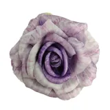 roza-wyr-violet-12-szt
