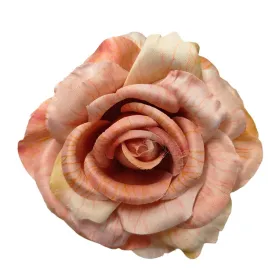 roza-wyr-tt-peach-12-szt