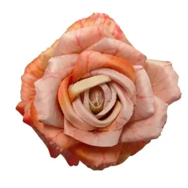 roza-wyr-apricot-12-szt