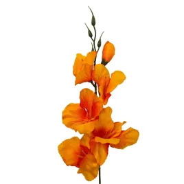 mieczyk-pojedynczy-tt-orange-12-szt