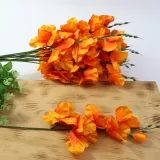 mieczyk-pojedynczy-tt-orange-12-szt-stan-nowy