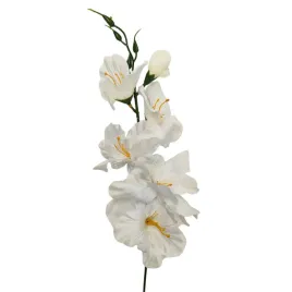 mieczyk-pojedynczy-cream-12-szt